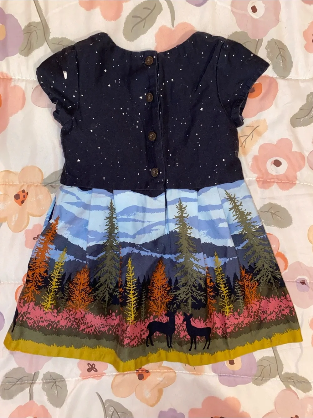 Girls Oshkosh Dress